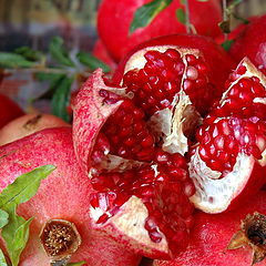 photo "fruit"