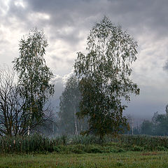 фото "Ненастное утро"