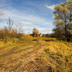 фото "За городом..."