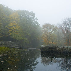 фото "The Crisp Air of an Autumn Morning"