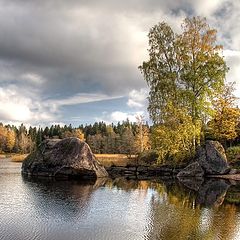 фото "Осень в Монрепо #7"