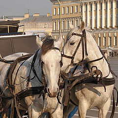 фото "По секрету"