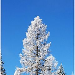 фото "Сказка"