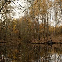 фото "Осеннее настроение..."