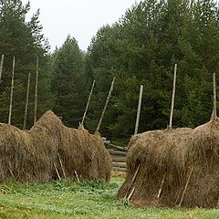 фото "запас на ЗИМУ для МУ"