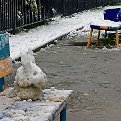 фото "Снежный заяц"