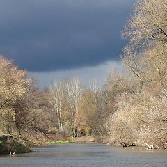 photo "Last autumn days"