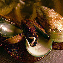 photo "Still life with mussels"