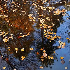 photo "Autumn mirror"