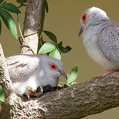 photo "Are you feeling ok?"