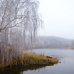 фото "Предзимье"