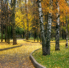 photo "Yelow autumn"