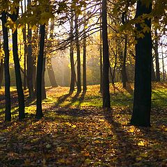 photo "Sunny October. Petersburg."