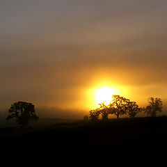 photo "Misty Sunrise"