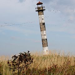 photo "Saaremaa 1"