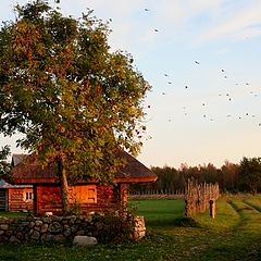 photo "Saaremaa 3"