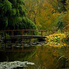 photo "the bridge"