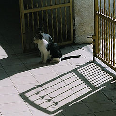 photo "The Gate with  "Face control"."