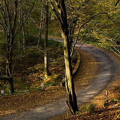 photo "autumn morning"