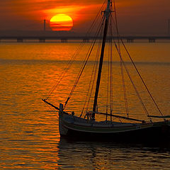 фото "River Tagus Estuary"