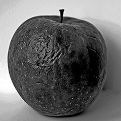 фото "An old apple"