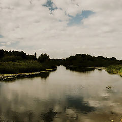 photo "River Or"