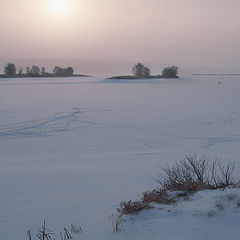 photo "Winter light"