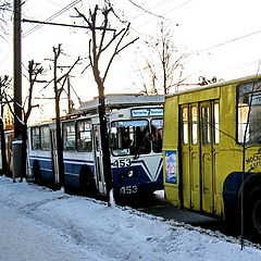 фото "Большие гонки"