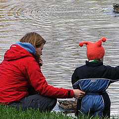 photo "to feed a duck"