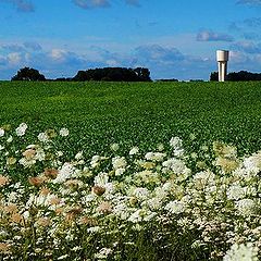 photo "last summer"