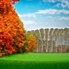 photo "Autumn saturation"