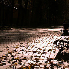 photo "morning benches"