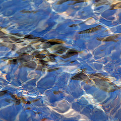 photo "water reflex in a river"