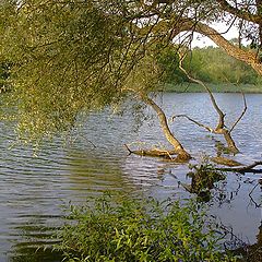 photo "The River is Flowing"