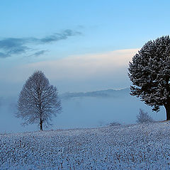 фото "First snow2"