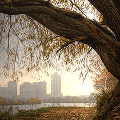 фото "Городской пейзаж."