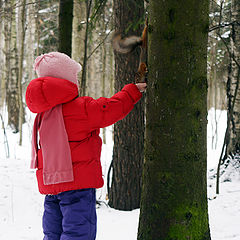 photo "to feed a squirrel"