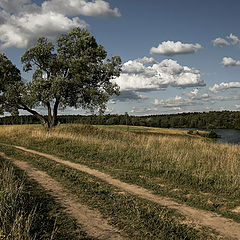 фото "cередина лета..."