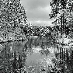 photo "The beginning of winter"