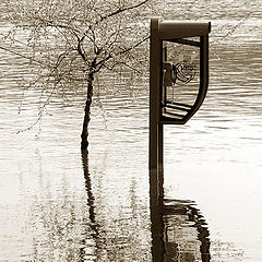 photo "flood"