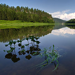 фото "Урал, река Чусовая / 0172_0081"