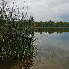 фото "Без настроения"