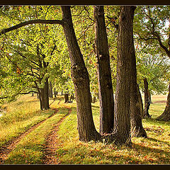 photo "Returning in September"