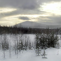 photo "Salla-Tunturi"