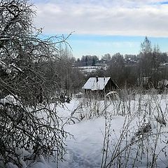 photo "The winter dream"