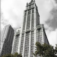 photo "The Woolworth Building"