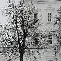 фото "Никто не приходит давно..."