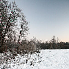 фото "Зимнее утро"