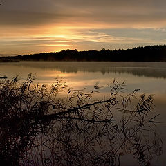 photo "Morning on the  lake."