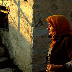 photo "enjoying the last rays"